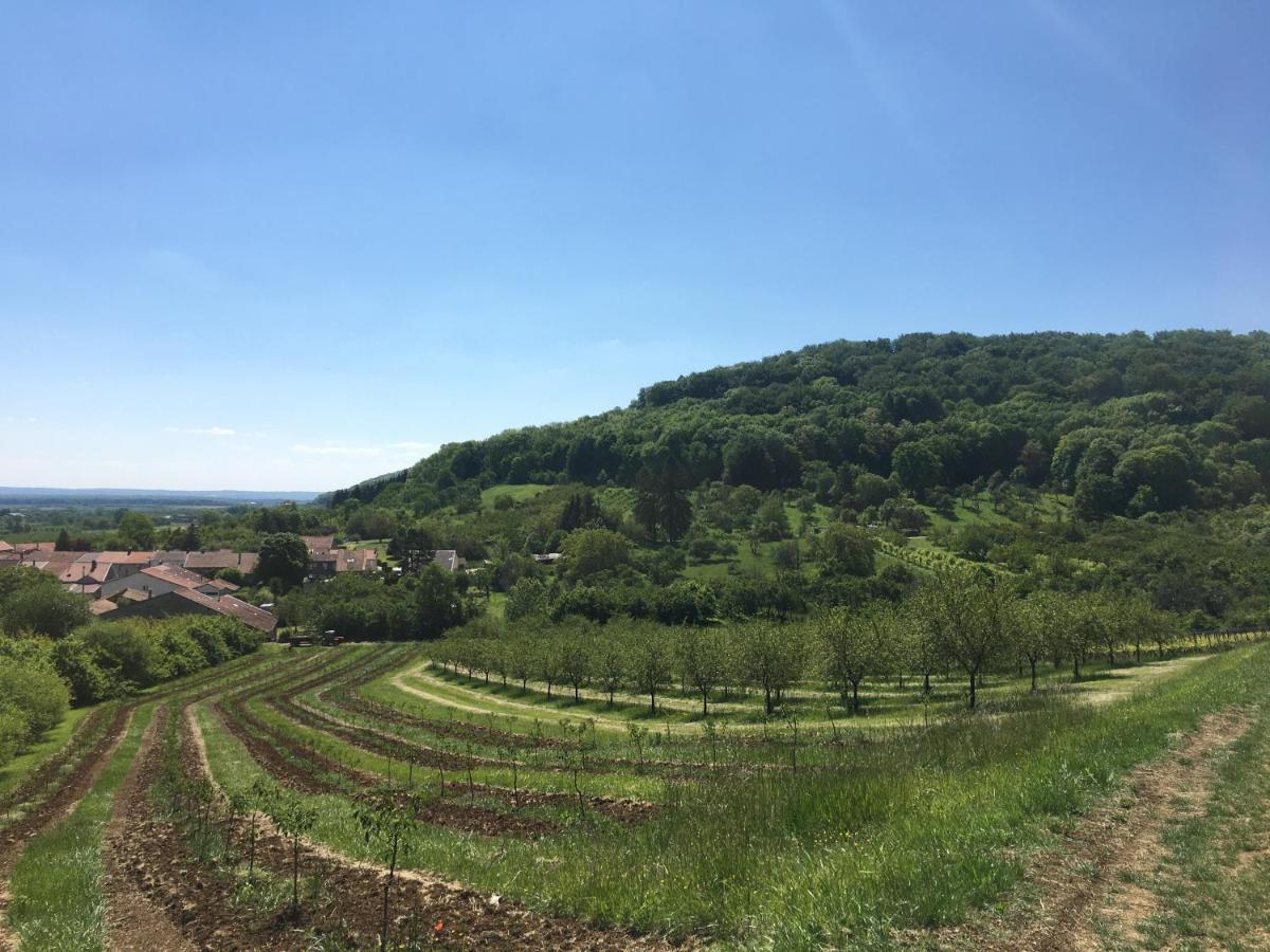 Chambres D'Hotes La Bottee Vieville-sous-les-Cotes 外观 照片