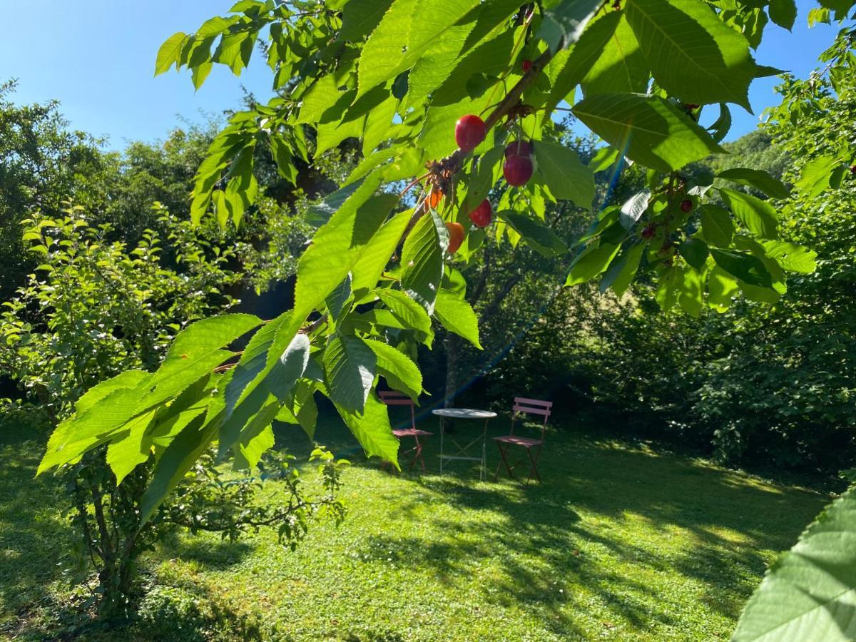 Chambres D'Hotes La Bottee Vieville-sous-les-Cotes 外观 照片